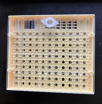 1 бр. Кутия за клетки за отглеждане на Пчелните на Матката Пластмасови Клетки Изолация на Пчелните Клетки Обзавеждане за пчеларството