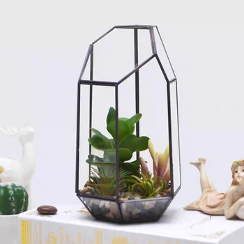Домашна оранжерия Шестоъгълен стъклена ваза за саксии с растения Миниатюрни Мини-пейзажна градина, Декорация за дома за растения в саксии